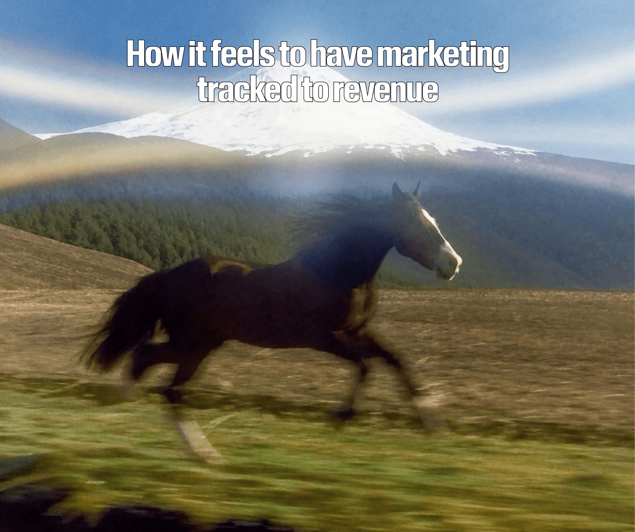 How it feels to have marketing tracked to revenue