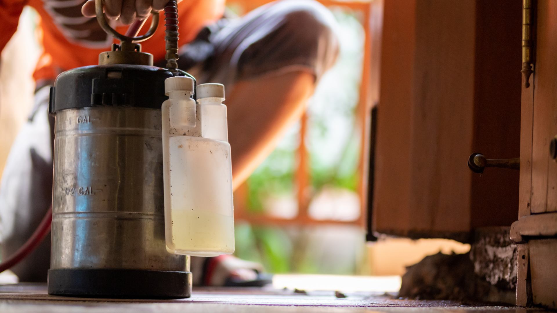 Best PPC Strategies for Pest Control Companies