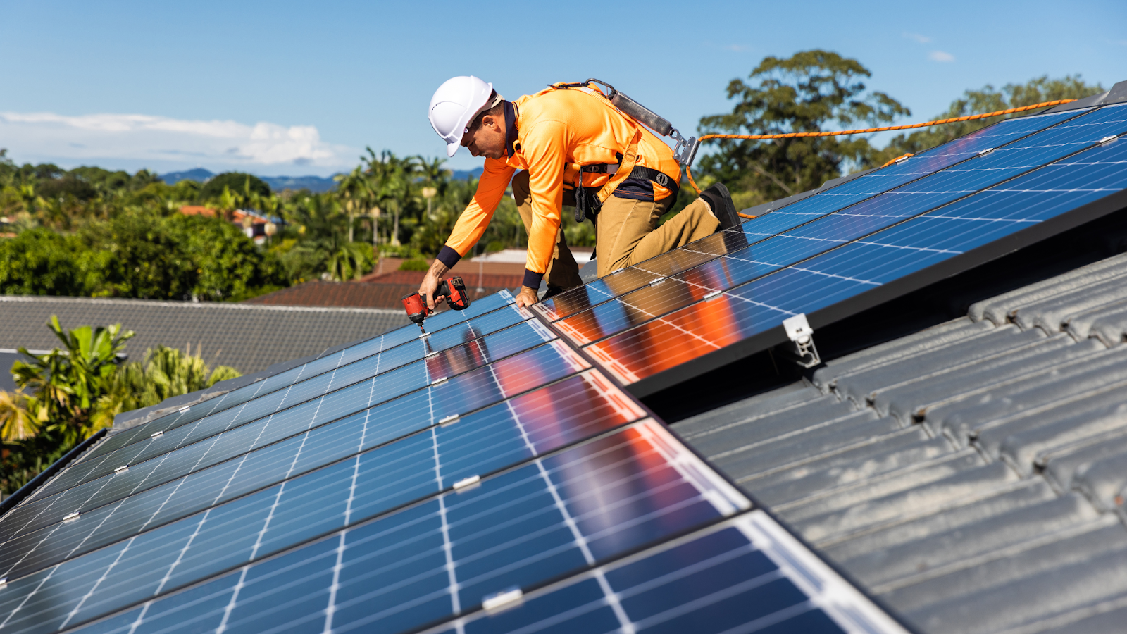 What Should Be the Target Audience for Your Solar Panel Business?